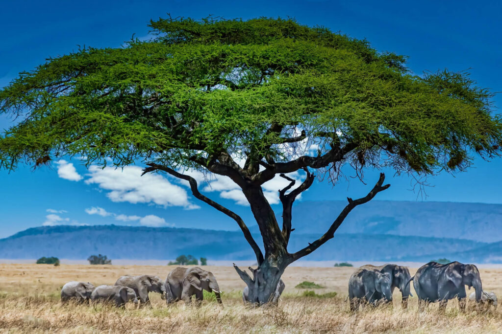 Must-See Destinations East Africa