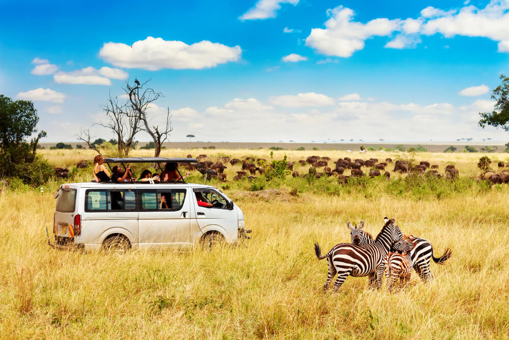 6 Days Luxury Migration Safari