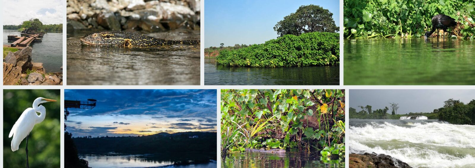 Adventurers enjoying various activities on the River Nile in Uganda, including white-water rafting, boat cruises, and bungee jumping