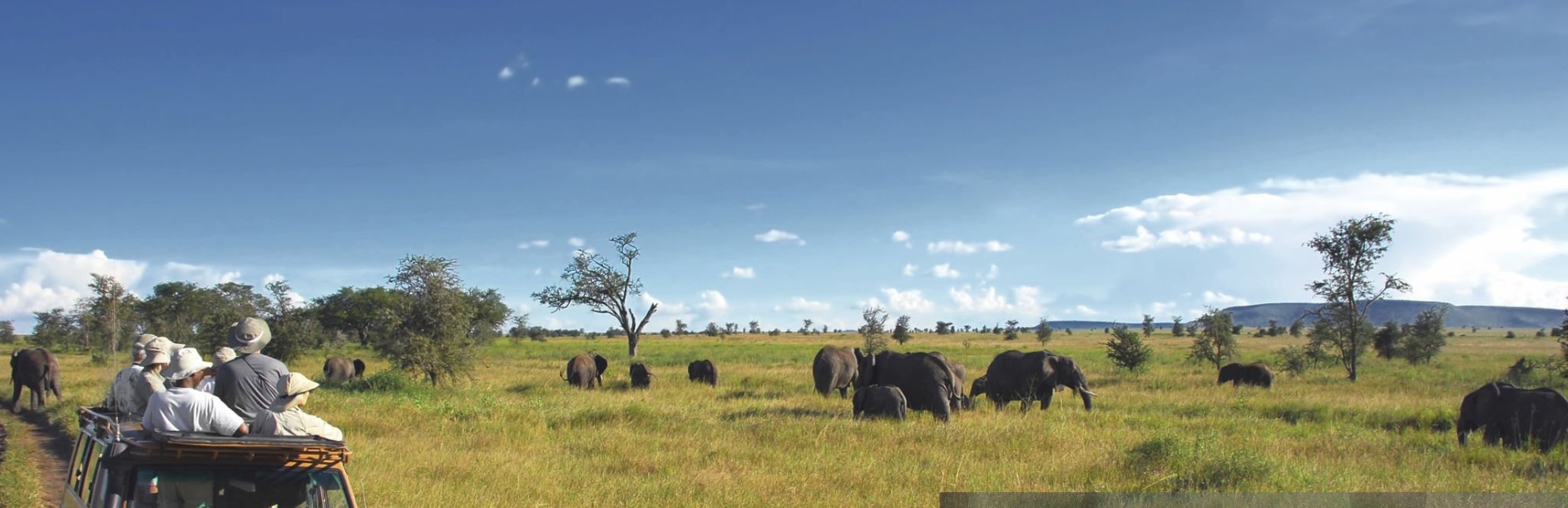 9 Days Classic Migration Safari