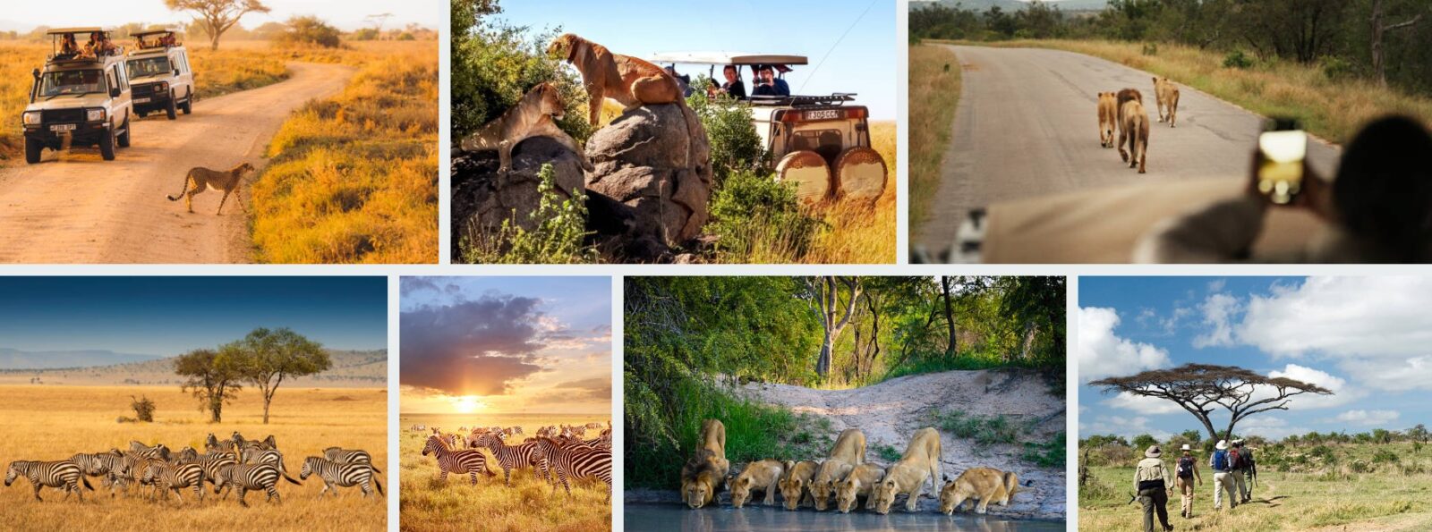 Group of travelers on a 10-day safari in Uganda, exploring wildlife, engaging in adventure activities, and visiting cultural sites