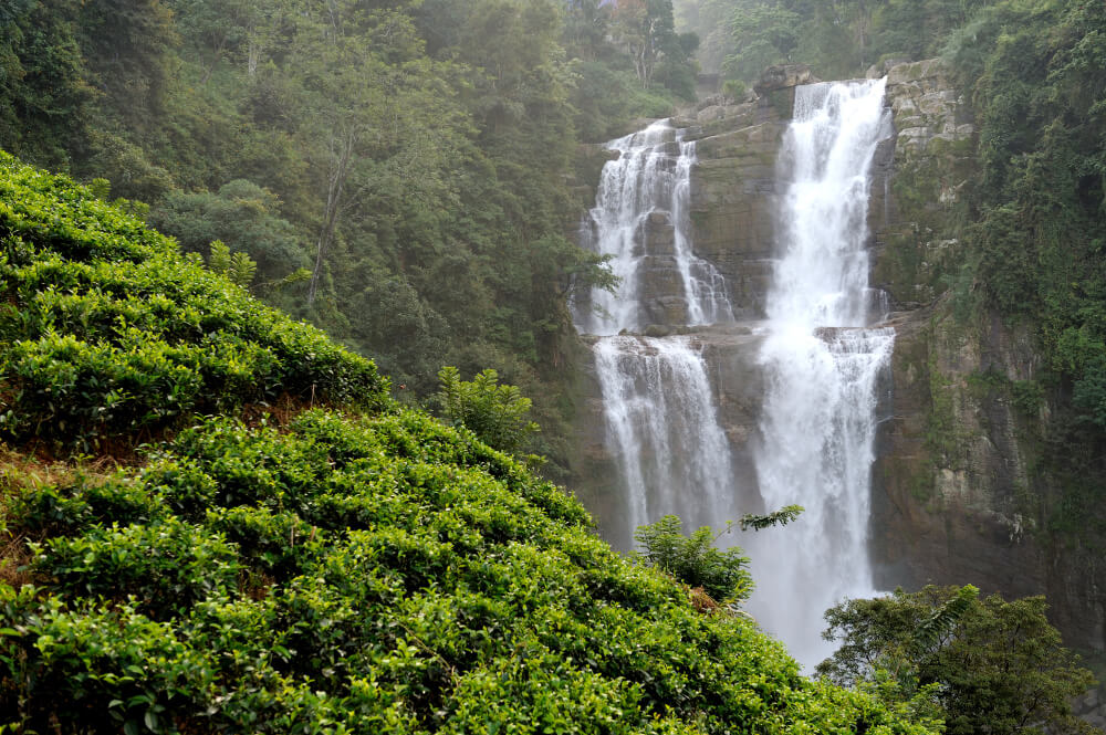 Murchison Falls Park Safari