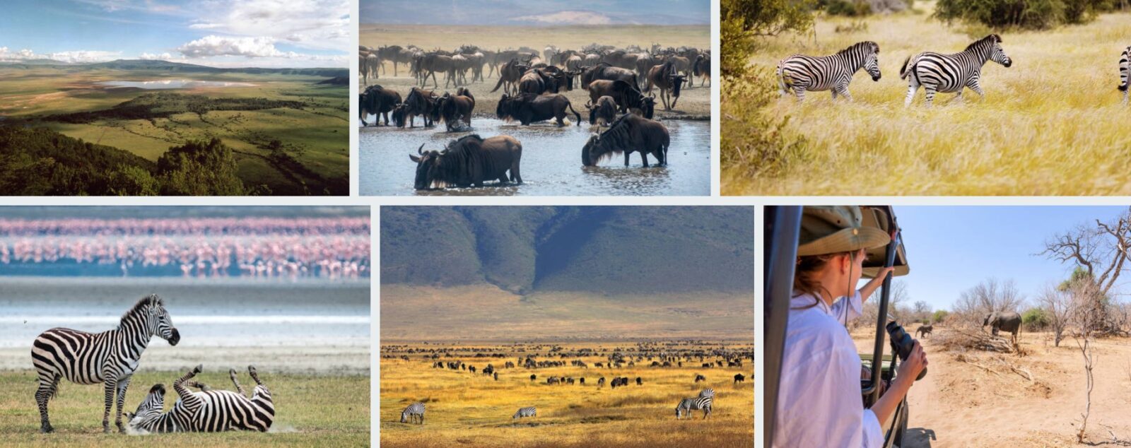 Tourists enjoying a 5 Days Tanzania Safari, exploring Serengeti National Park and Ngorongoro Crater, spotting wildlife like elephants and lions