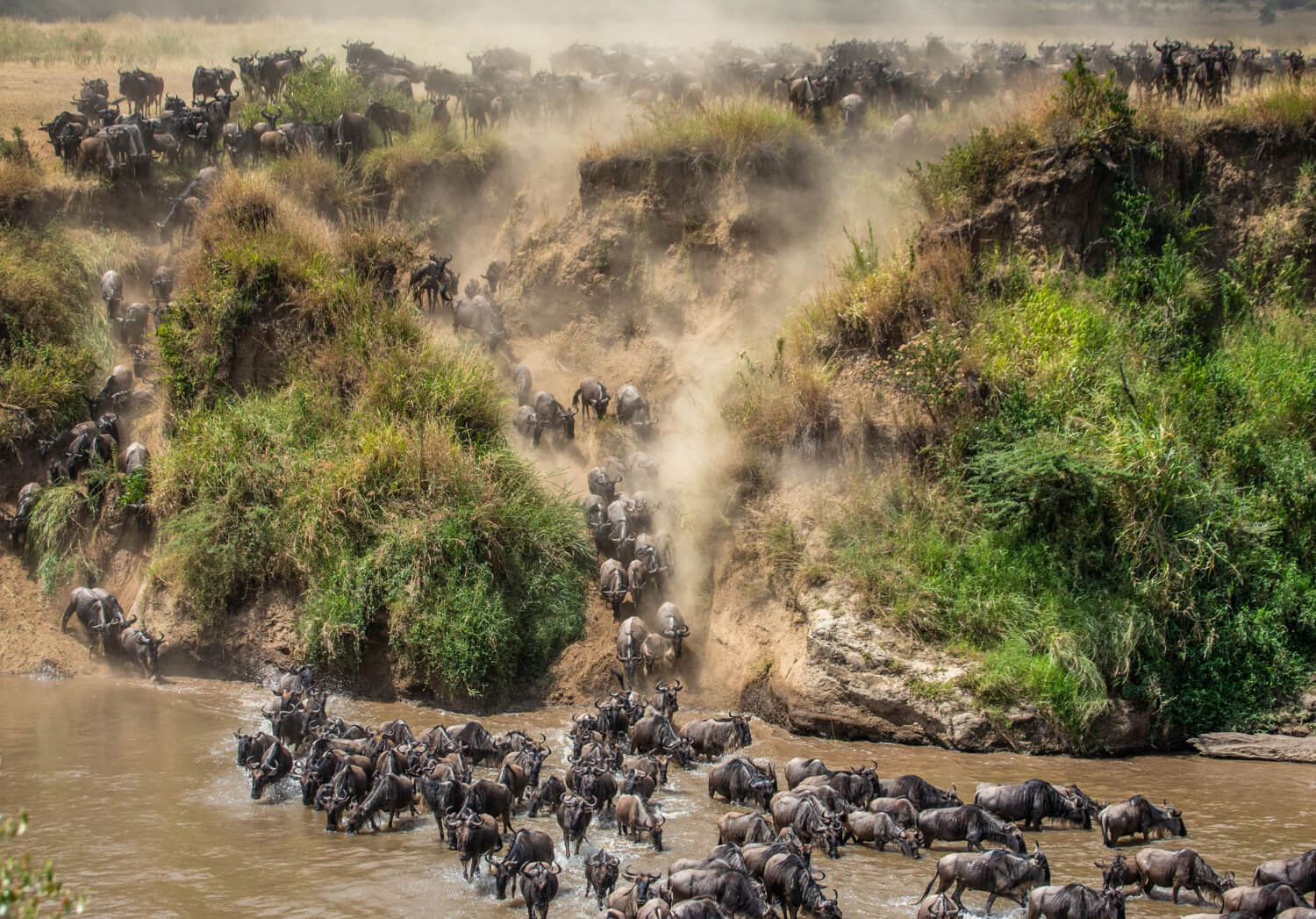 3 Days Luxury Migration Safari