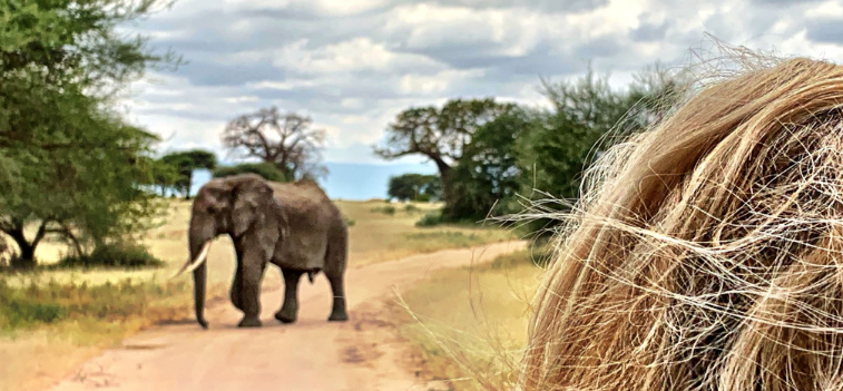 Is Tanzania Good for First-Time Safari?