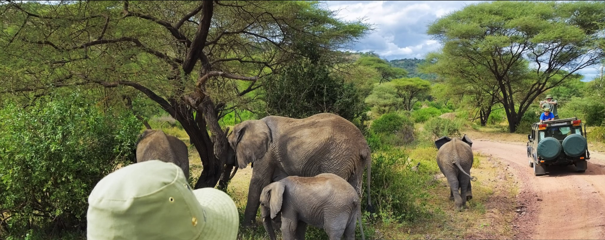 Essential Tanzania safari packing for dry season adventure