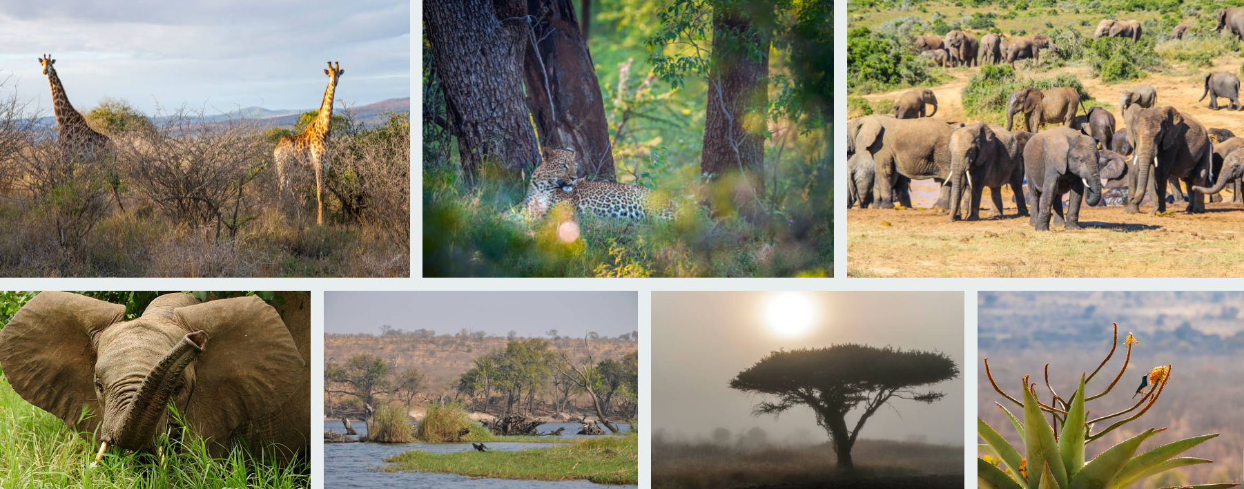 Save on Mozambique travel with budget flights, cheap stays, local transport, and low-cost adventures.