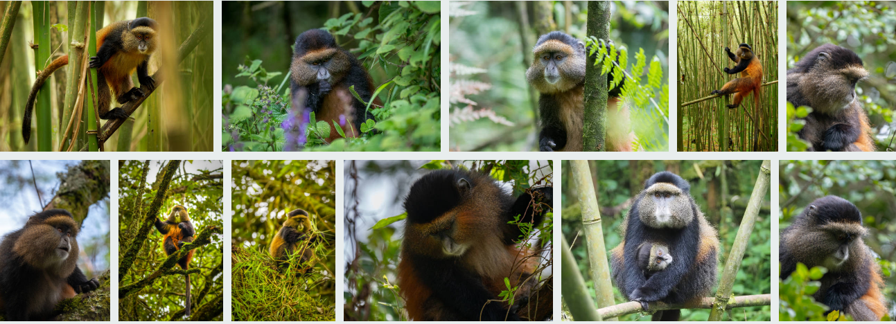 Great Migration Adventure, every detail is planned to make your family’s safari journey safe, educational, and unforgettable.