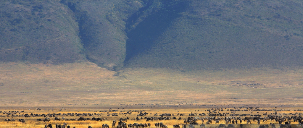 Ngorongoro Over Serengeti? 10 Compelling Reasons