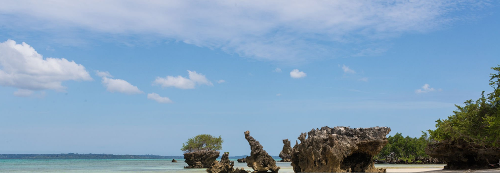 Why Is Pemba Island Special?