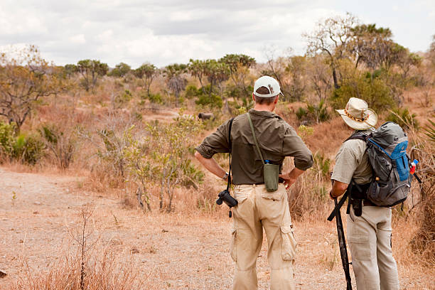Professional guide essential on Tanzania safari tracking wildlife in Serengeti