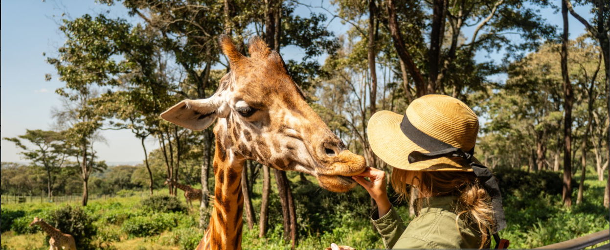 Solo female traveler on safe Tanzania safari with precautions