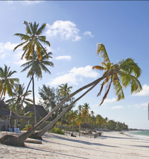 If you’ve ever asked yourself, "Where are Tanzania’s best beaches?"