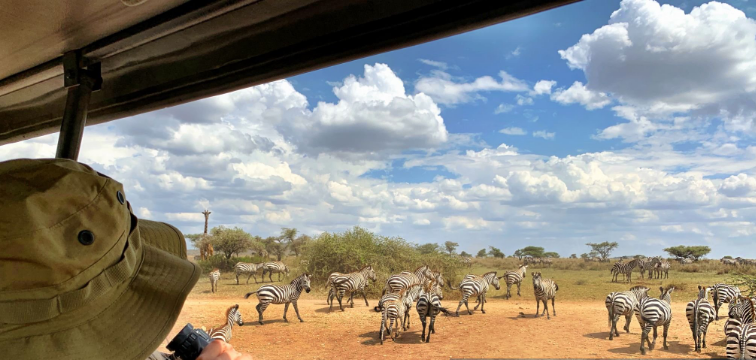 What’s the Best Tanzania Itinerary? Crafting the Ultimate Adventure of a Lifetime