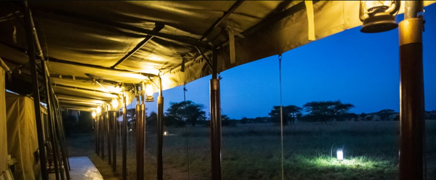 So, Does Tanzania Have Night Safaris?  The answer is a resounding yes