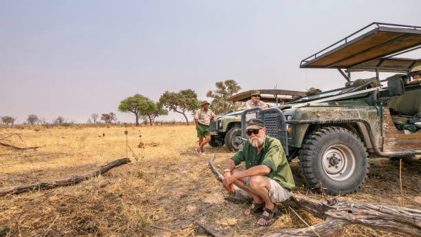 Dry season safari benefits: wildlife at waterholes in golden savanna light