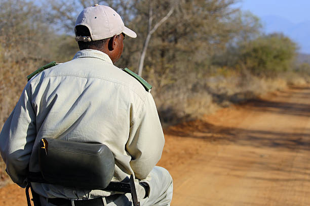 Wildebeest herd during Tanzania's shoulder season safari benefits