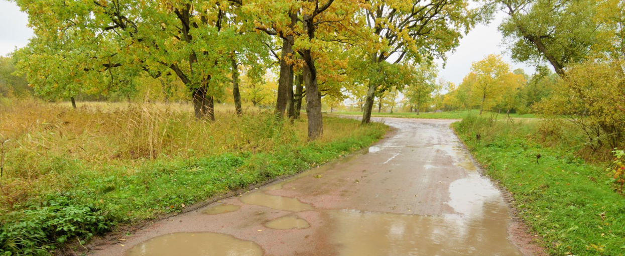 Flooded road in Tanzanian park showing how weather affects park accessibility