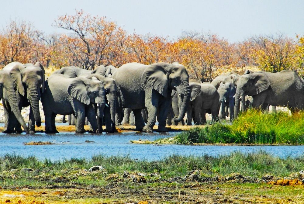 Hwange National Park, Zimbabwe
