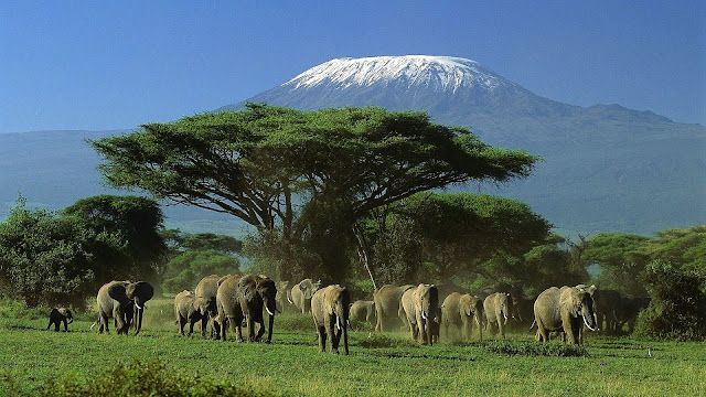 Mount Kenya National Park