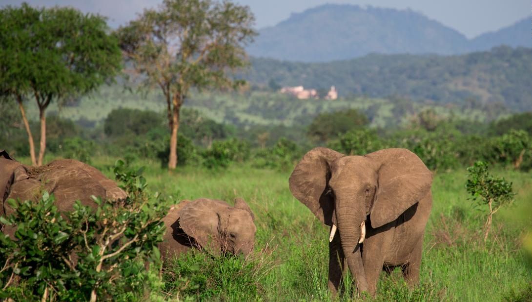 visit Saadani National Park