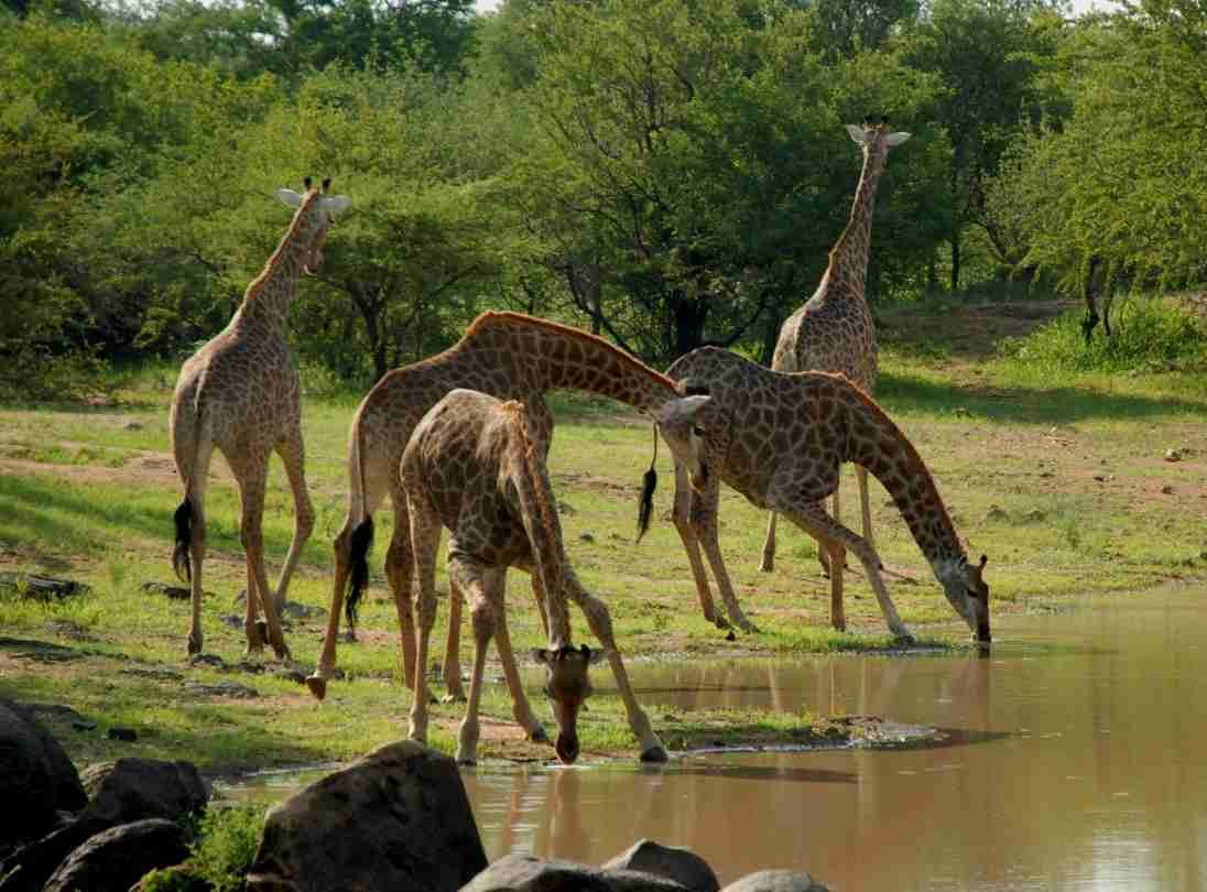 visit Saadani National Park