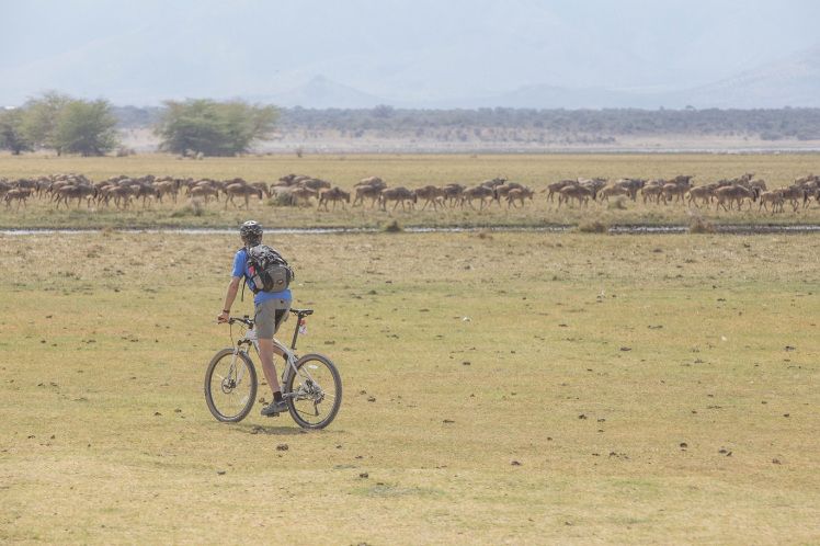 Guided Bike Tours in the Serengeti
