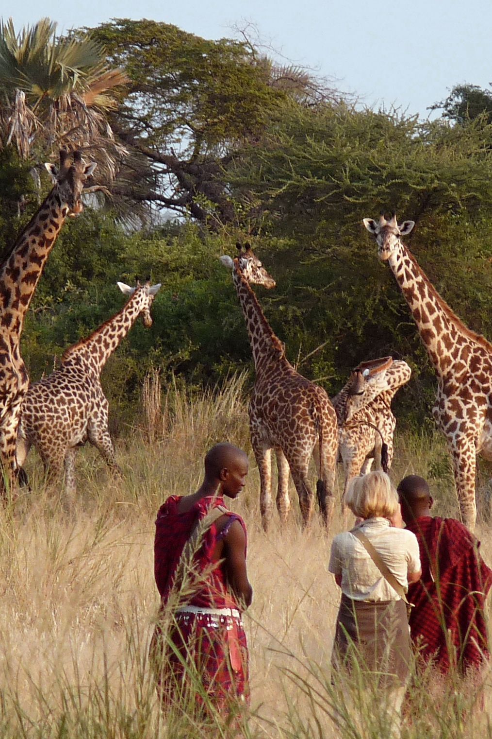 guided walks in Arusha National Park