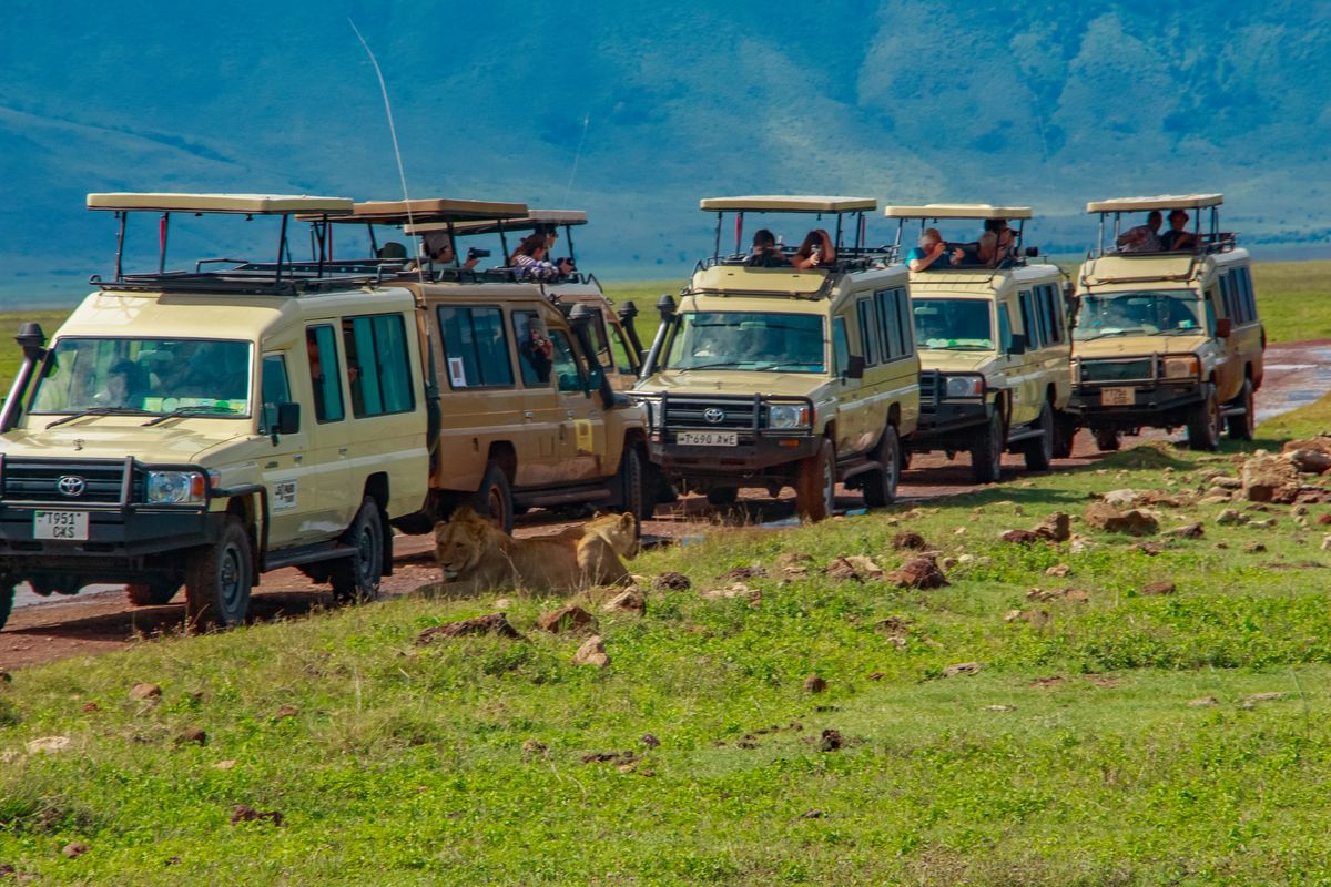 Are there discounts for large safari groups?