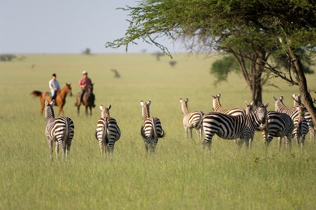 horseback safaris near Mount Kilimanjaro