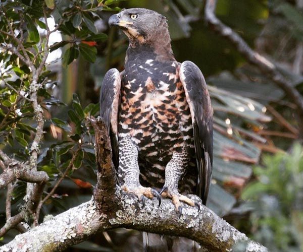 best time for birding in Kenya