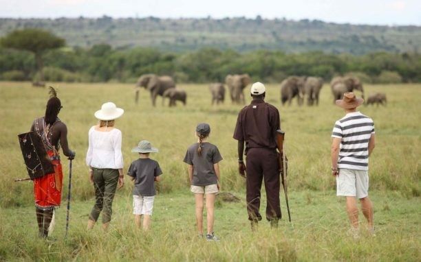 What’s the best age for a safari