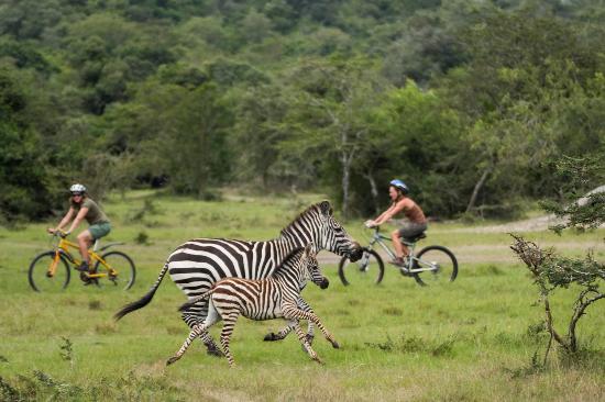 Bicycle tours in Mburo