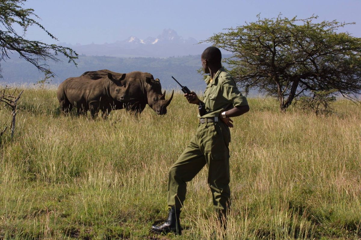 Lewa Wildlife Conservancy