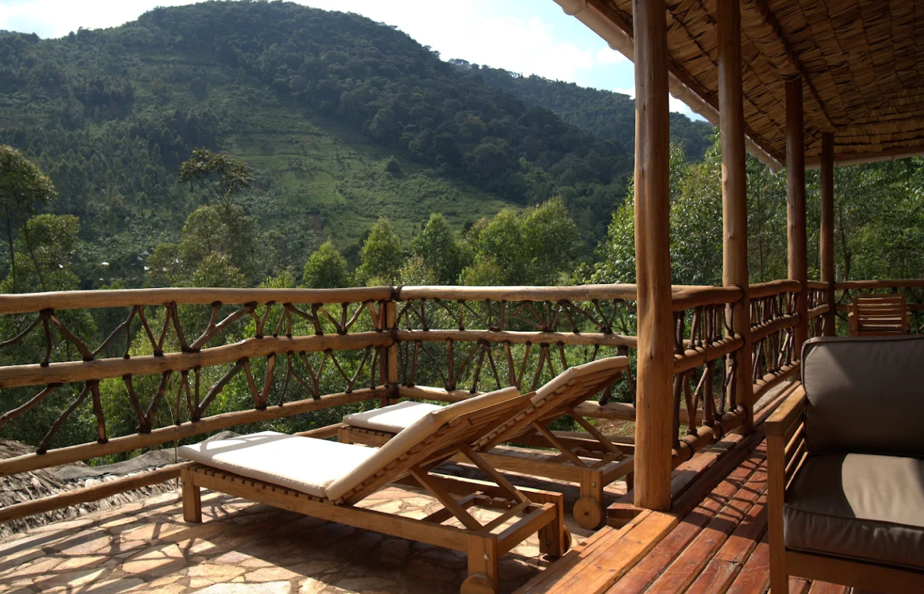 luxury lodges in Bwindi