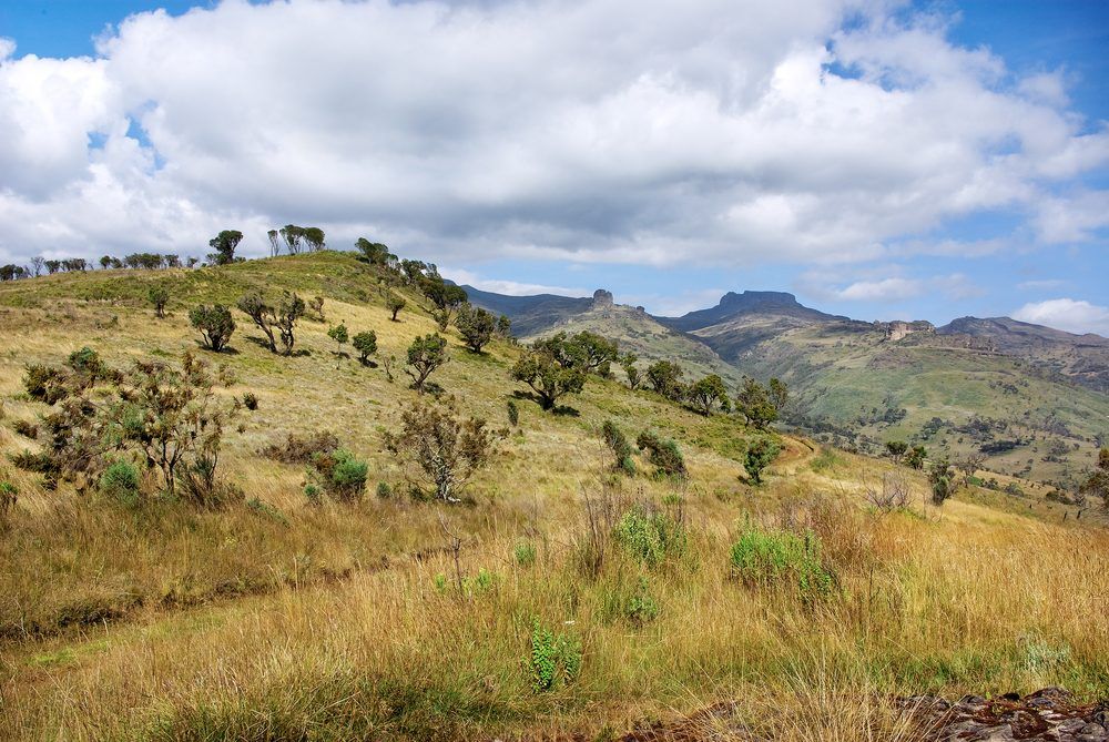 Visit Mount Elgon National Park