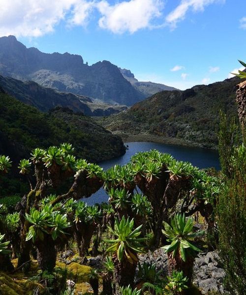 guided hikes in Rwenzori