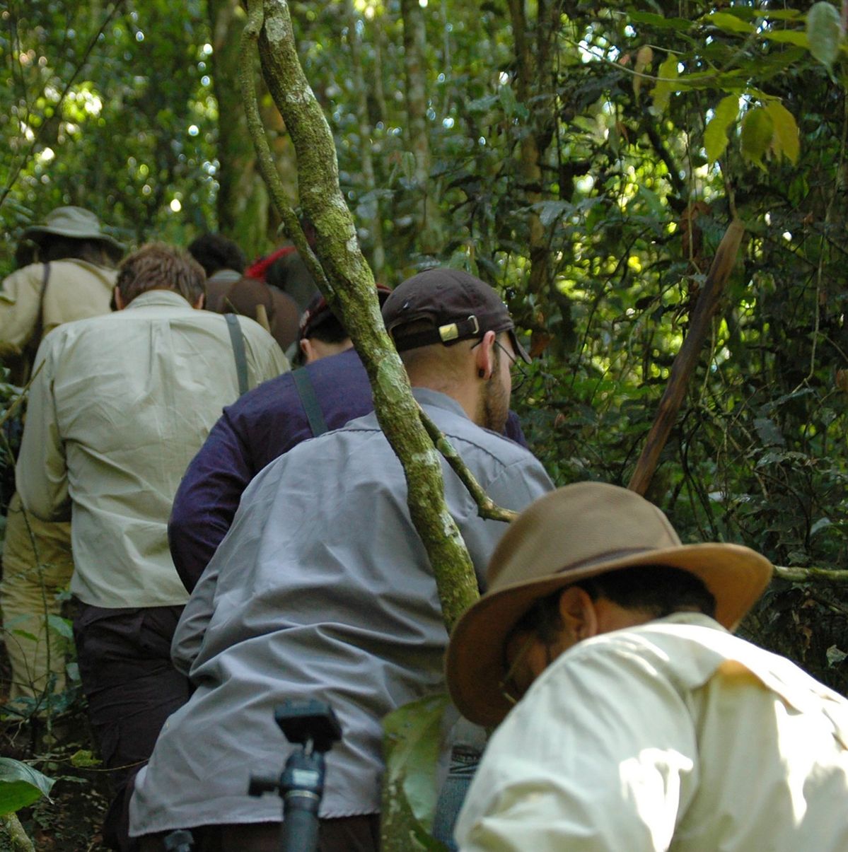 Guided Nature Walks in Murchison Falls National Park