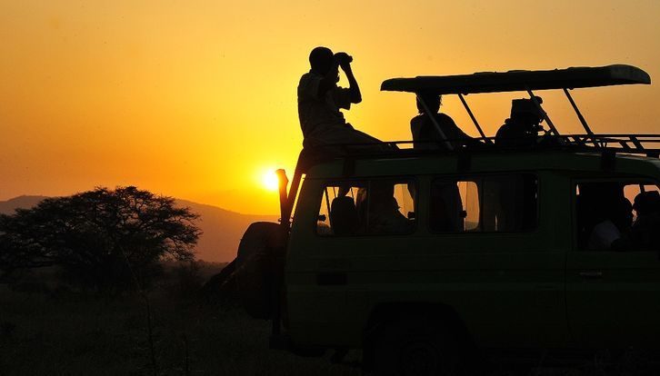 At Great Migration Adventure, we believe night in the bush should be as compelling as day. Let us lead you on a guided night safari that adds an unforgettable chapter to your Uganda story.