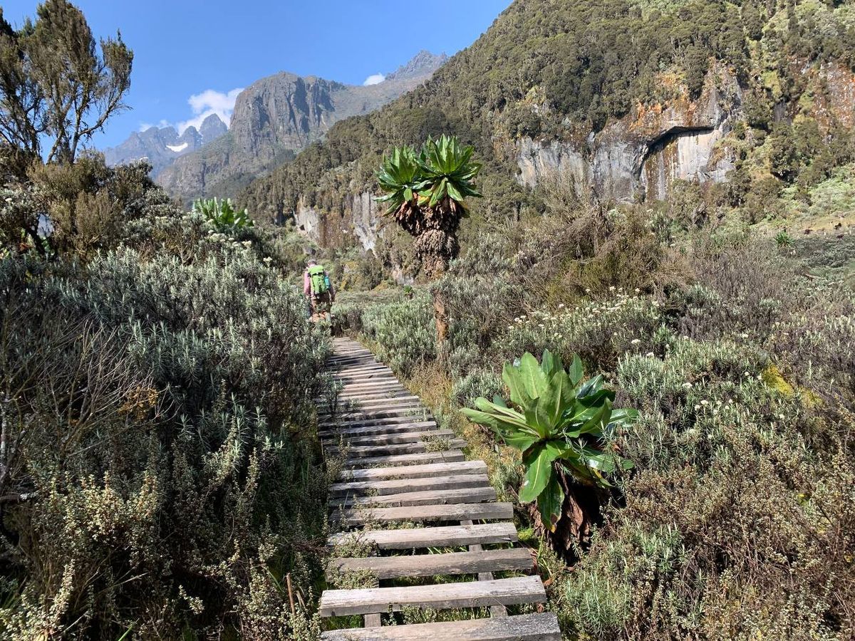 guided hikes in Rwenzori