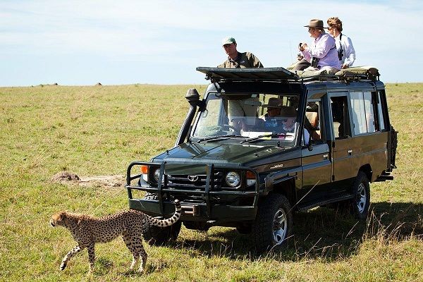 Are group safaris slower than private ones volunteer programs in Kenya’s parks