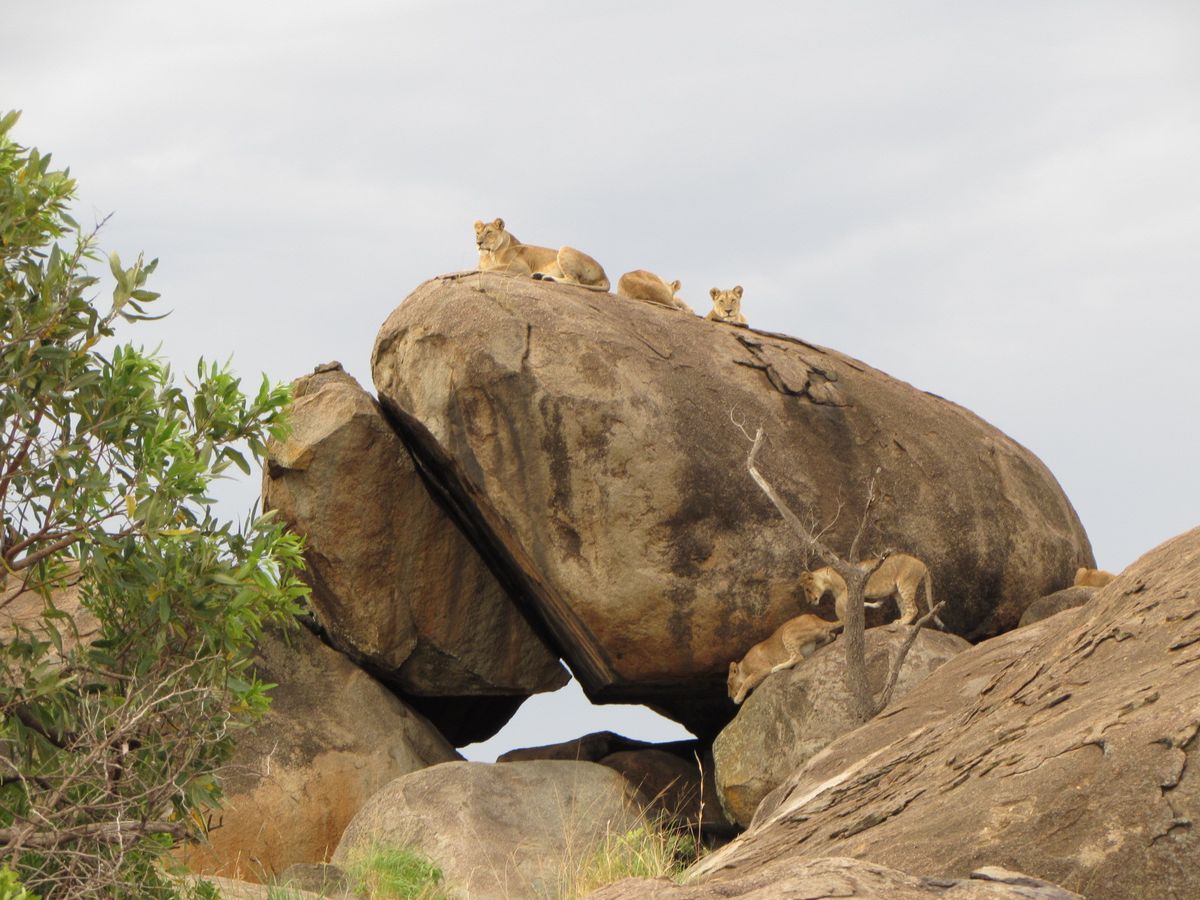 stargazing tours in Serengeti