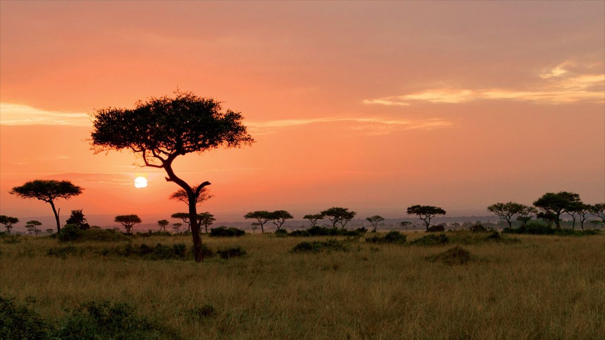 stargazing tours in Serengeti