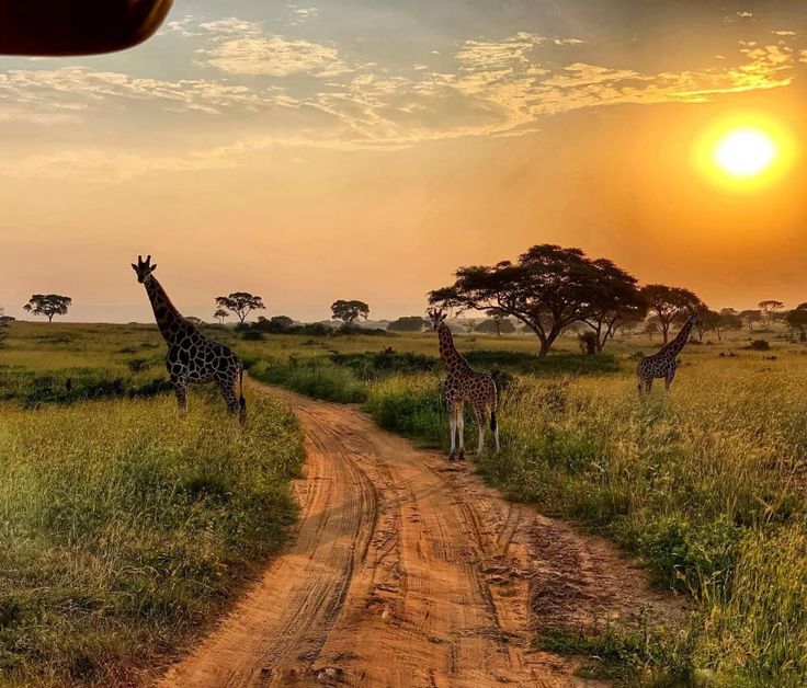 East African Countries in One Trip