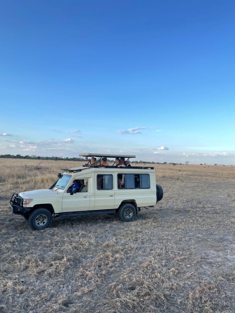 Can I Book Safaris Directly with Lodges?